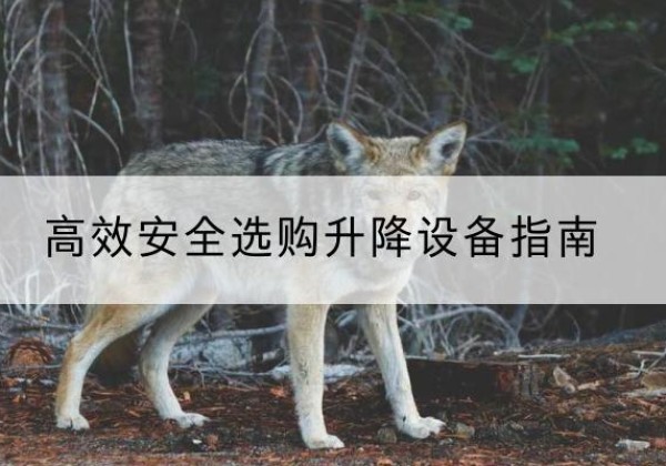海西升降货梯厂家推荐-*安全选购升降设备指南
