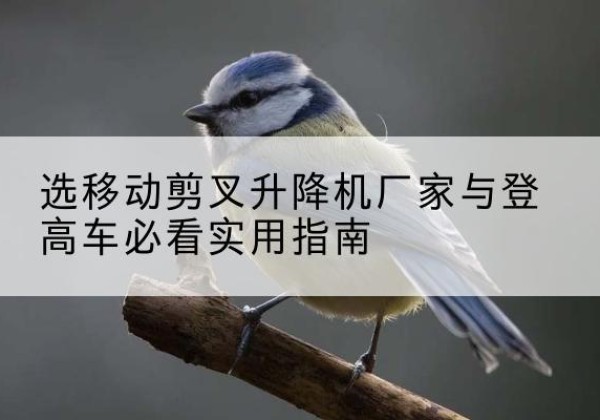 海西电动升降机厂家-选移动剪叉升降机厂家与登高车必看实用指南