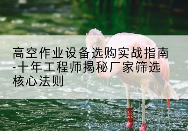 海西剪叉式升降机厂家-高空作业设备选购实战指南-十年工程师揭秘厂家筛选核心法则